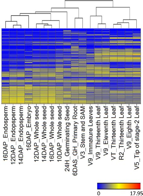 Figure From Maize Gene Atlas Developed By Rna Sequencing And