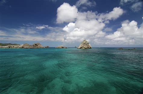 Ogasawara National Park by Juergen Sack