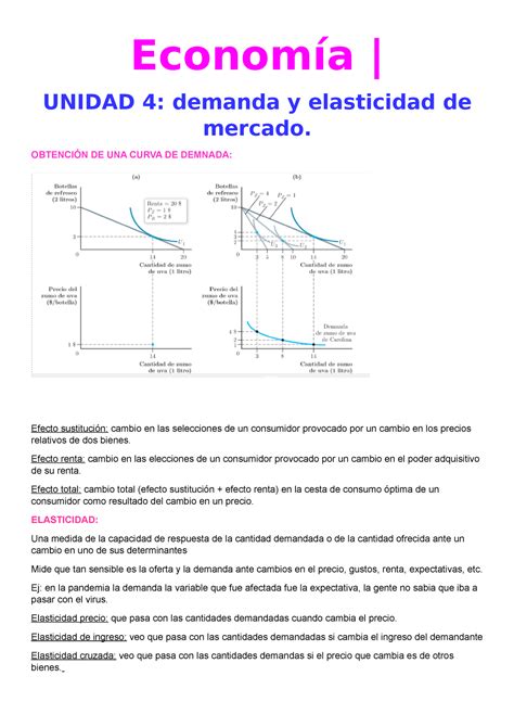 Resumen Unidad 4 Economía UNIDAD 4 demanda y elasticidad de