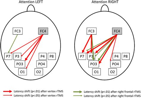 Frontiers Right Prefrontal Tms Disrupts Interregional Anticipatory