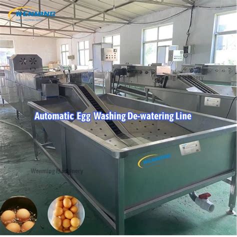 Automatic Egg Washing Machine Automatic Egg Washer Egg Washing