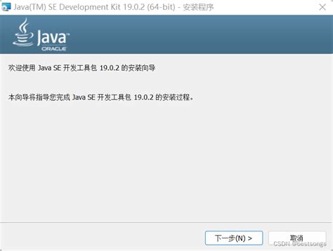 jdk19下载与安装教程win10超详细 CSDN博客