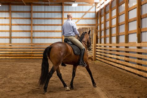 Equine Clinic Hosting Services in CO