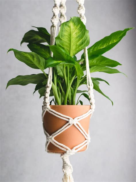 21 Free Macrame Plant Hanger Patterns Sarah Maker