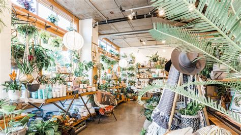 Of The Best Plant Shops Across The U S Architectural Digest