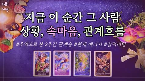 타로지금 상대방 속마음과 관계 흐름 상대방 상황 서로를 향한 에너지 그 사람 속마음 2주간 관계흐름 상세리딩 추가