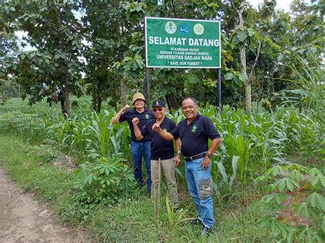 Kawasan Hutan Dengan Tujuan Khusus Berubah Menjadi Kebun Jagung