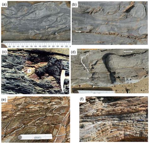 Full Article Convergence And Transpression Along The Paleo Pacific