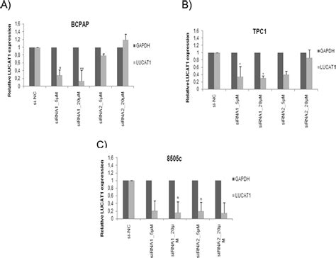 Silencing Of Lucat1 By Sirnas The Expression Levels Of Lucat1 Were