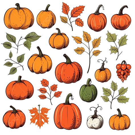 Collection Of Hand Drawn Thanksgiving Halloween Pumpkins Icons Leaves