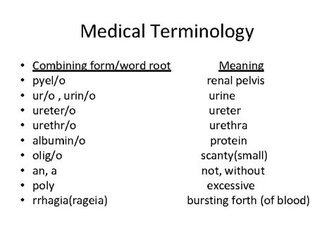 Medical Terminology The Urinary System Chapter 11 Unit