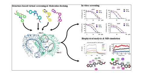 Discovery Of Novel Small Molecule Dual Inhibitor Targeting Toll Like