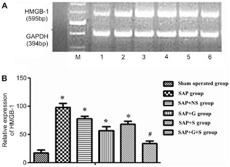 High Mobility Group Box Hmgb Mrna Expression A Hmgb Mrna