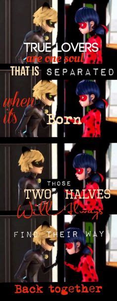 100 Miraculous ladybug quotes ideas | miraculous ladybug, miraculous, ladybug