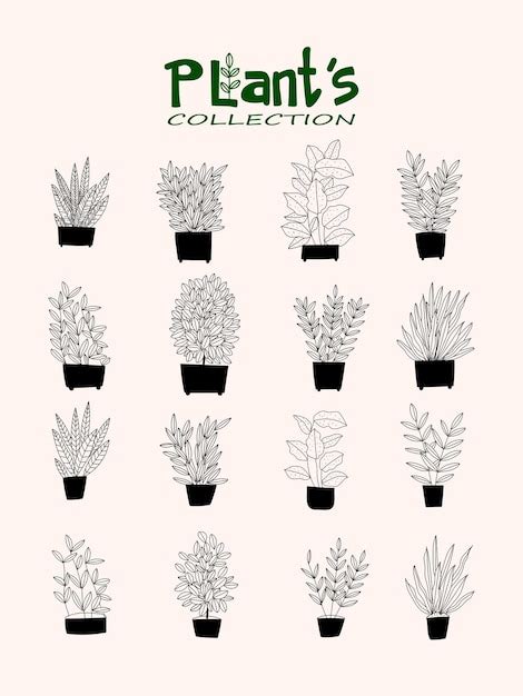 Premium Vector Floral Plants And Flower On Pots Vases Hand Drawn Background Wall Art Cover