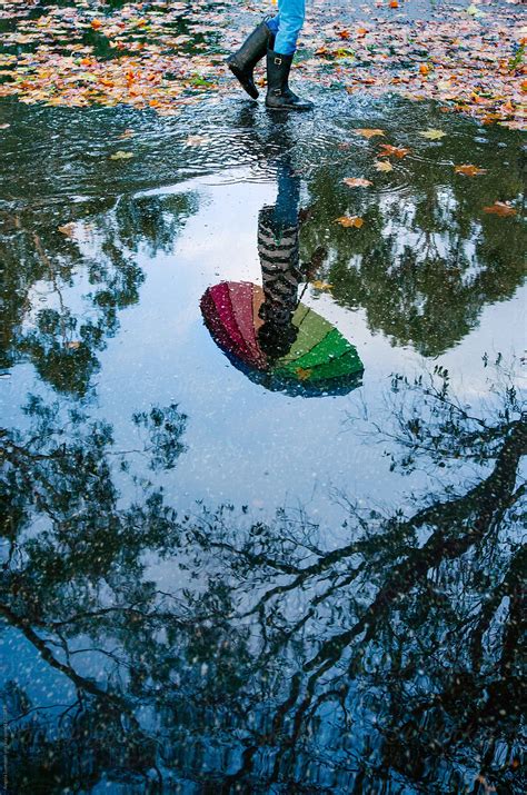 Reflection In A Puddle On A Rainy Day In Fall By Stocksy Contributor