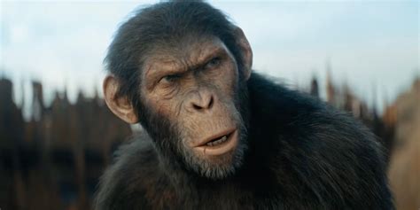 Kingdom Of The Planet Of The Apes Teaser Showcases Proximus S Conquest