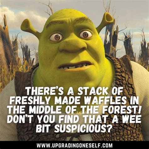 Top Mind Blowing Quotes From The Shrek Movies Upgrading Oneself