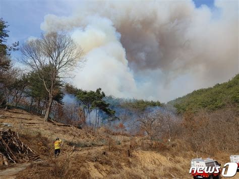 합천 용주면 산불대응 2단계 네이트 뉴스