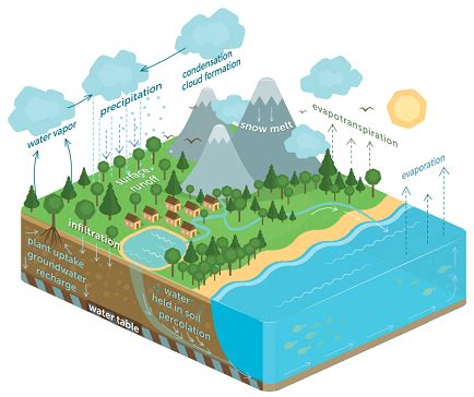 Overview Forest And Water Programme Food And Agriculture