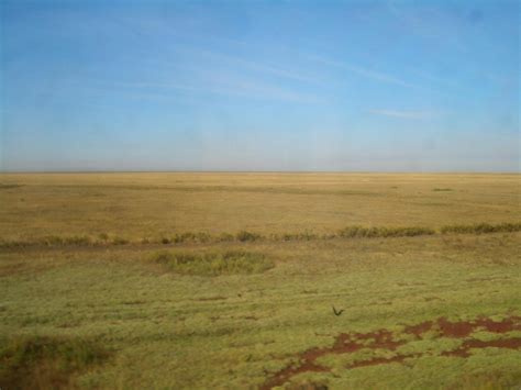 Kazakh Steppe | One Earth