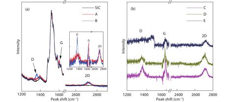 Epitaxial Graphene Gas Sensors On Sic Substrate With High Sensitivity