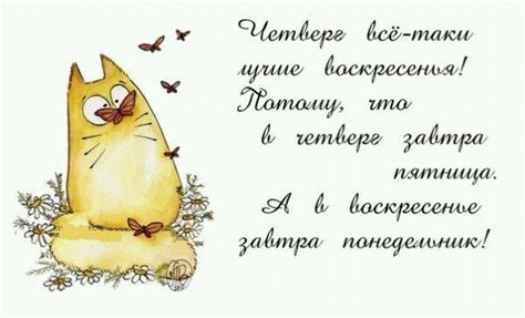 Пин от пользователя F.Y.Z на доске Мой релакс | Картинки, Оптимизм, Четверг
