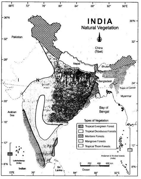 Natural Vegetation And Wild Life Class 9 Notes Geography Chapter 5