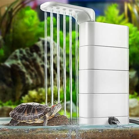 Best Filter For 55 Gallon Red Eared Slider Turtle Tank 2024 Vet Ranch