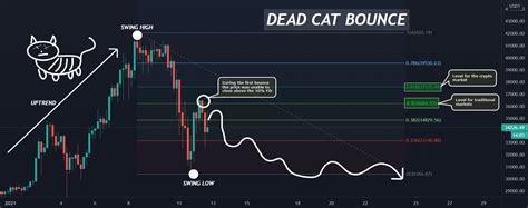 Dead Cat Bounce Scenario For Binancebtcusdt By Skyrexio — Tradingview