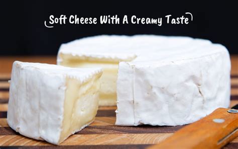 Find Out How These 15 Types Of Cheese Will Glorify Your Food