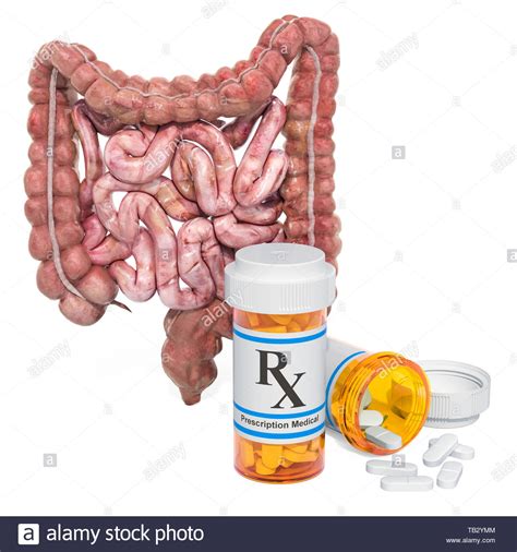 Human Bowel High Resolution Stock Photography And Images Alamy