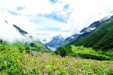 Nanda Devi And Valley Of Flowers National Parks