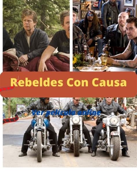 Ver Rebeldes Con Causa Cerdos Salvajes Película Online Gratis En Hd