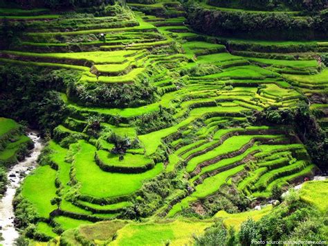 Terrace Farming Andes