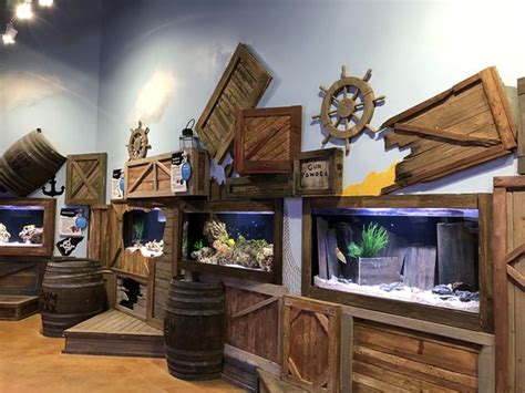 SeaQuest Interactive Aquarium Fort Worth All You Need To Know Before