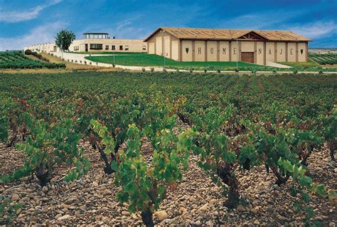 Sum Rgete En El Mundo Del Vino De Navarra Bodegas M Ximo Abete San