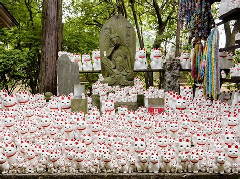 tokyo  recommended  time  editors