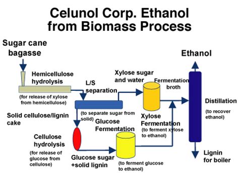 How Cellulosic Ethanol Is Made