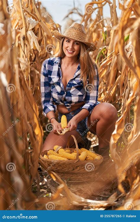 Plus Size Farm Lady Harvesting Corn Stock Image Image Of Farming