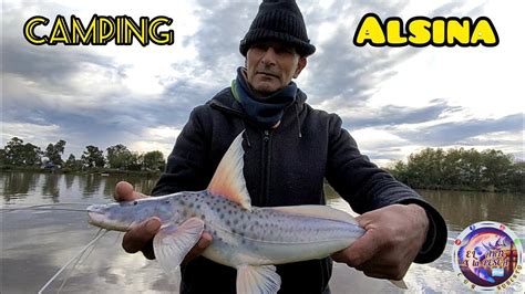 Pesca Y Aventura En Camping Alsina De PATIES Y MONCHOLOS EL ARTE X