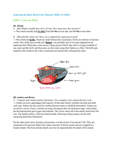 Beaty Assignment BIO Exploring The Beaty Biodiversity Museum BIOL