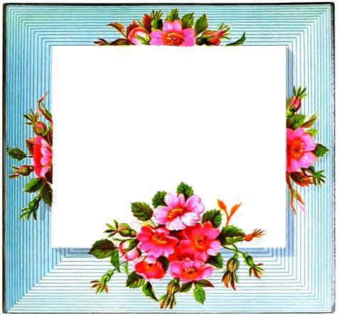 Floral Border Free Stock Illustrations Creazilla