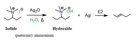 The Hofmann Elimination Chemistry Steps