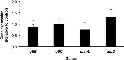 The Expression Of S Mutans Genes Gtfb Gtfc Manl And Atpd In Download Scientific Diagram