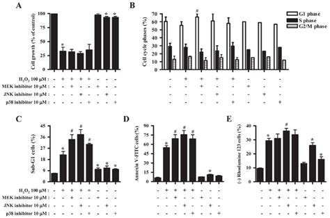 Effects Of Mapk Inhibitors On Cell Growth And Death Of H 2 O 2 Treated Download Scientific