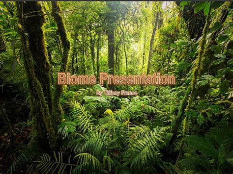 Biome Presentation By Tiffany Franco Ppt Download