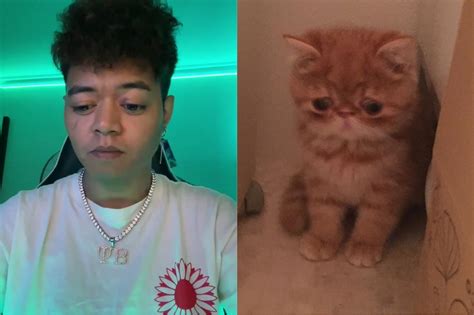 Tyler The Creator Cat Tuts