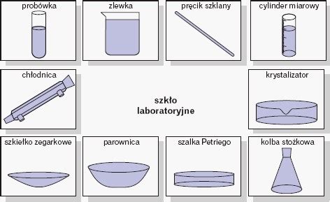 Abroad Orphan Hectares Szk O Laboratoryjne Klasa Poianaluiovidiu Ro