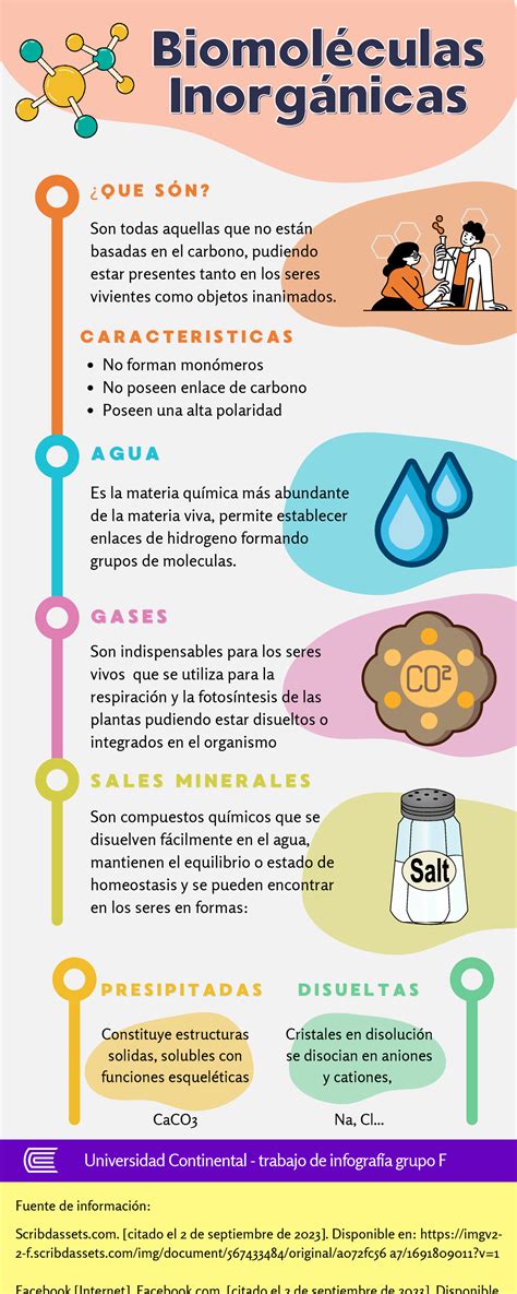 Infografia De Biologia Tema Biomoleculas Inorganicas Grupo F 2023